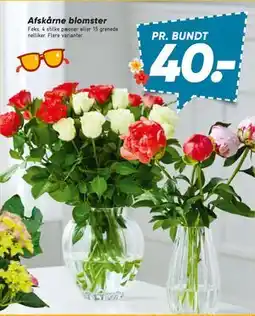 Bilka Afskårne blomster tilbud