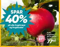 Bilka Spar 40% på alle frugttræer og frugtbuske tilbud