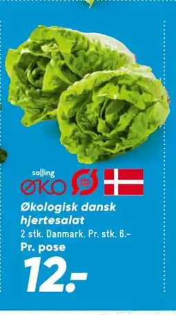 Bilka Økologisk dansk hjertesalat tilbud