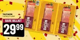 Løvbjerg TULIP BACON tilbud