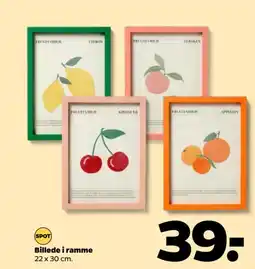 Netto Billede i ramme tilbud