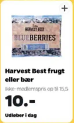 Netto Harvest Best frugt eller bær tilbud