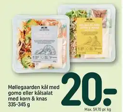 REMA 1000 Møllegaarden kål med gomo eller kålsalat med korn & knas 335-345 g tilbud