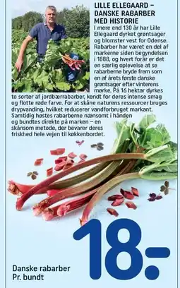 Danske rabarber