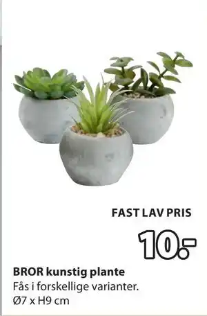 JYSK BROR kunstig plante tilbud