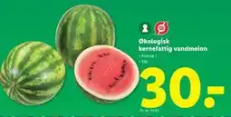 Lidl Økologisk kernefattig vandmelon tilbud