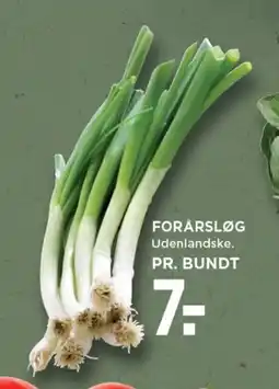 Forårsløg udenlandske.