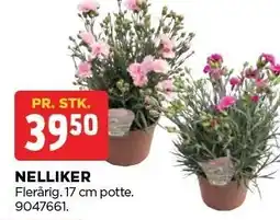 jem & fix NELLIKER tilbud
