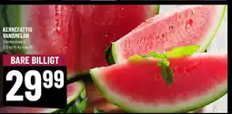 Løvbjerg KERNEFATTIG VANDMELON tilbud