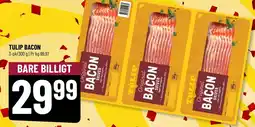 Løvbjerg TULIP BACON tilbud