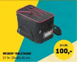 XL-BYG WEBER KØLETASKE tilbud