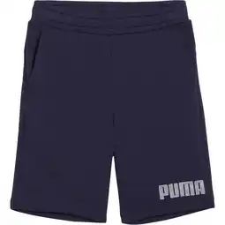 Sport 24 Puma Mass Merchants Shorts Børn tilbud