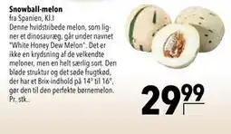 Citti Snowball-melon tilbud