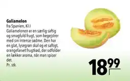Citti Galiamelon tilbud