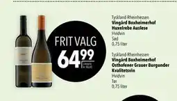 Citti Vingård Boxheimerhof Osthofener Grauer Burgunder Kvalitetsvin tilbud