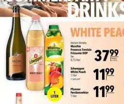 Citti Schweppes White Peach tilbud