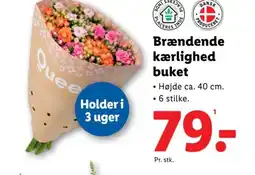 Lidl Brændende kærlighed buket tilbud