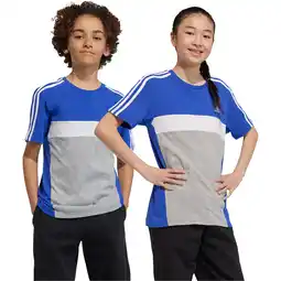 Sport 24 adidas Tiberio 3-Stripes Colorblock T-shirt Børn tilbud
