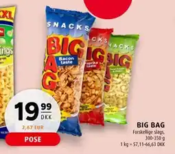 Scandinavian Park BIG BAG tilbud