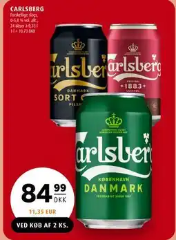 Scandinavian Park CARLSBERG tilbud