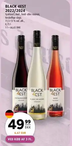 Scandinavian Park BLACK 4EST 2022/2024 tilbud