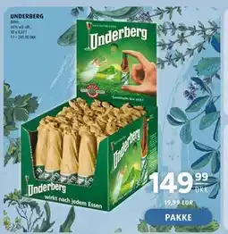 Scandinavian Park UNDERBERG tilbud