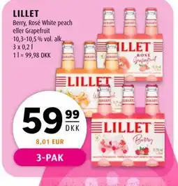 Scandinavian Park LILLET tilbud