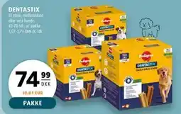 Scandinavian Park DENTASTIX tilbud