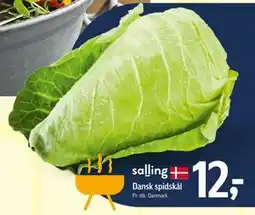 Føtex Dansk spidskål tilbud