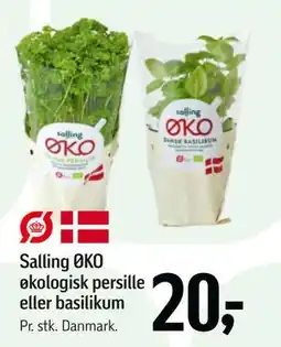 Føtex Salling ØKO økologisk persille eller basilikum tilbud