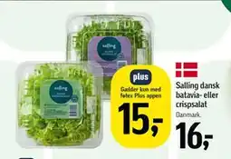 Føtex Salling dansk batavia- eller crispsalat tilbud
