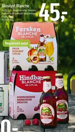 Føtex Skovlyst Blanche tilbud