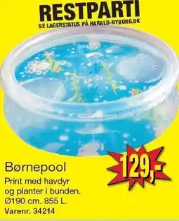 Harald Nyborg Børnepool tilbud