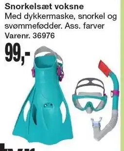 Harald Nyborg Snorkelsæt voksne tilbud