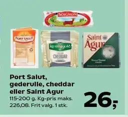 SuperBrugsen Port Salut, gederulle, cheddar eller Saint Agur tilbud