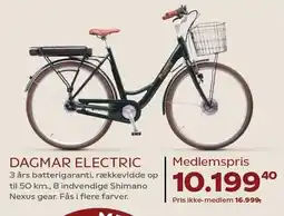 DAGMAR ELECTRIC