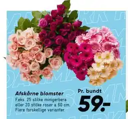 Bilka Afskårne blomster tilbud
