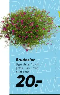Bilka Brudeslør tilbud