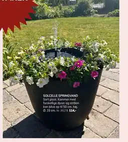 Daells Bolighus SOLCELLE SPRINGVAND tilbud