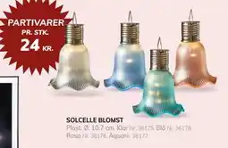 Daells Bolighus SOLCELLE BLOMST tilbud
