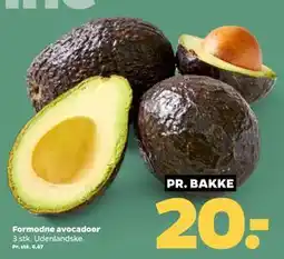 Netto Formodne avocadoer tilbud