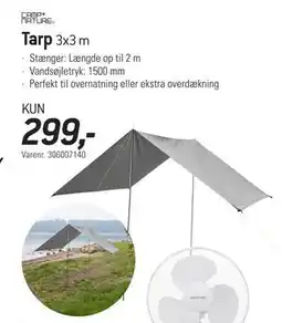 Thansen Tarp tilbud