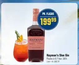 Otto Duborg Hayman's Sloe Gin tilbud