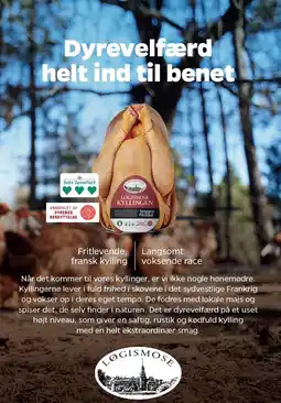 Netto Dyrevelfærd helt ind til benet tilbud