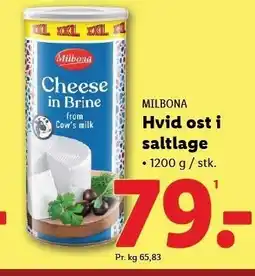 Lidl Hvid ost i saltlage tilbud