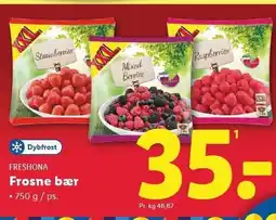 Lidl Frosne bær tilbud