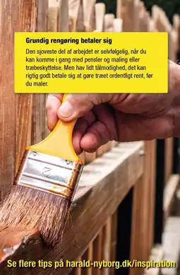 Harald Nyborg Grundig rengøring betaler sig tilbud