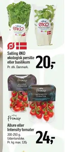 Føtex Salling ØKO økologisk persille eller basilikum, Allure eller Intensity tomater tilbud
