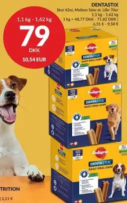Nielsen's Discount DENTASTIX tilbud