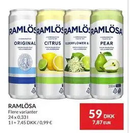 Nielsen's Discount RAMLÖSA tilbud